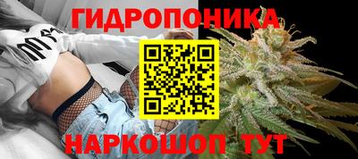 каннабис Кингисепп