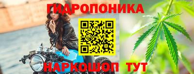 каннабис Кингисепп