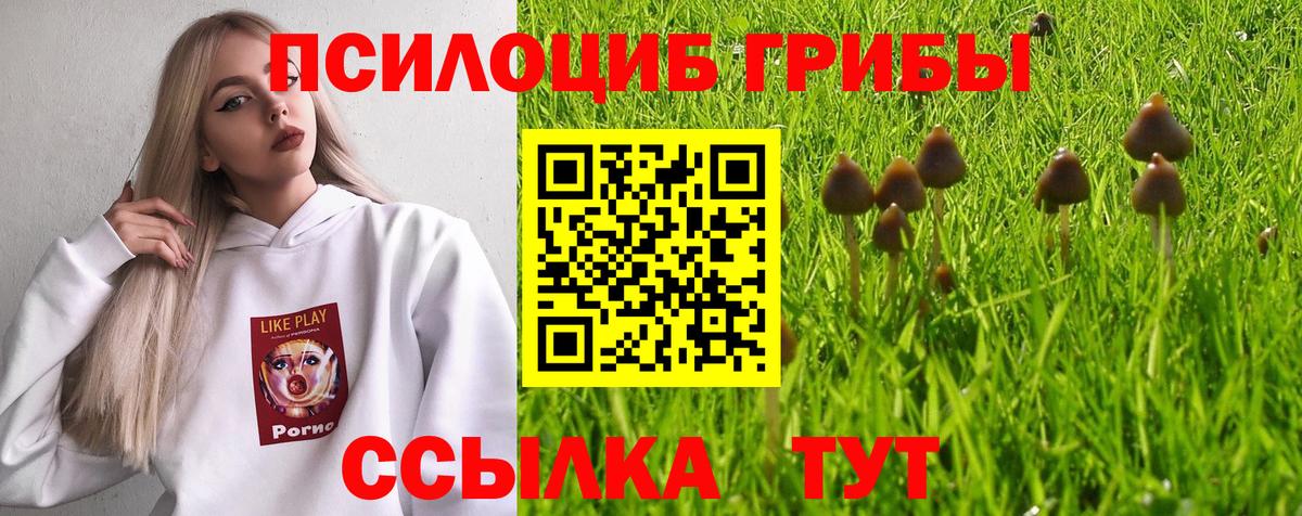 закладка  Вход с VPN  Рубцовск  Галлюциногенные грибы мицелий 